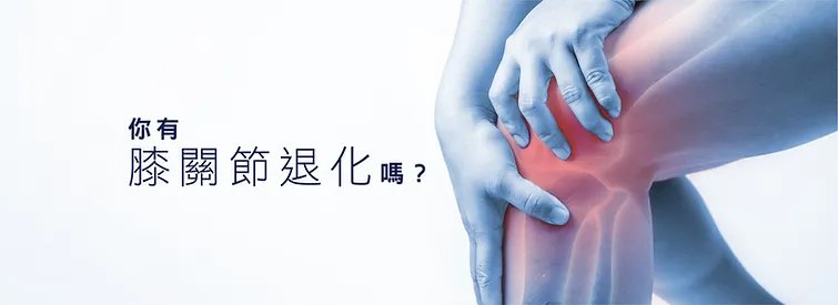 膝痛 knee pain